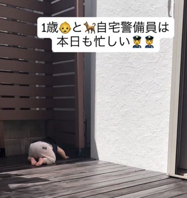 フェンスの隙間を覗く男の子