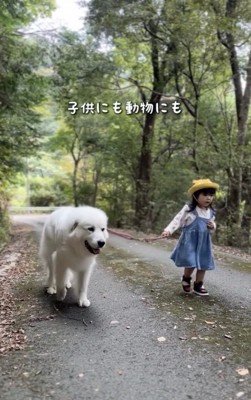 ほっこりしちゃいます