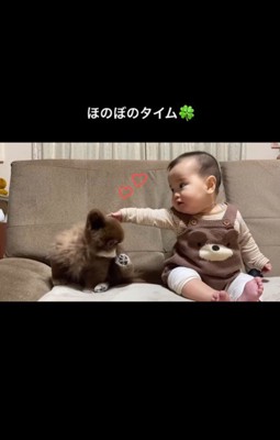 あんこちゃんと赤ちゃん4
