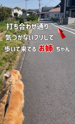 シンちゃんが散歩していると…