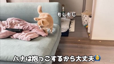 赤ちゃんから離れないハナちゃん6