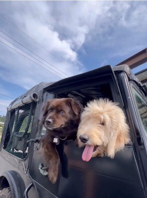 ルークくんとコテツくん2