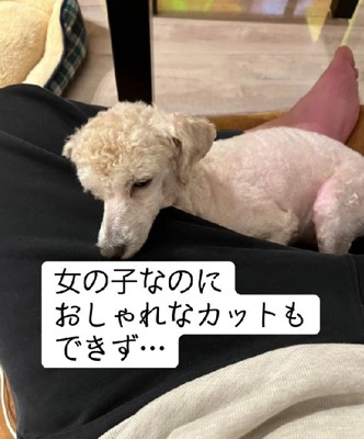 女の子なのにオシャレできない…