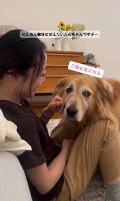 甘えながらご飯を気にするハルちゃん9