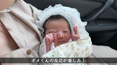 ポメくんはどんな反応するかな♪