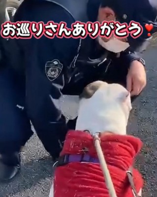 おやつをあげる警察官