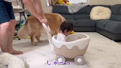 パパが押すよ!