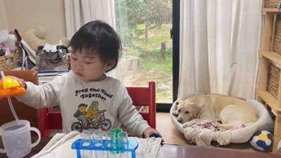 心配そうに見ているゴンちゃん
