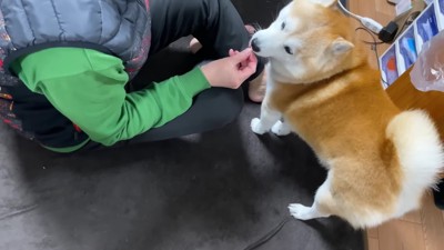 「骨っ子の気分じゃない」