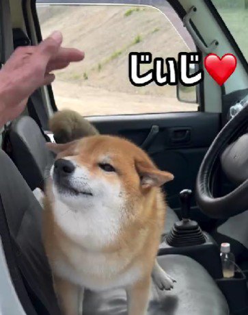 ヒコーキ耳で大歓喜♡