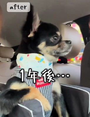 約1年後…