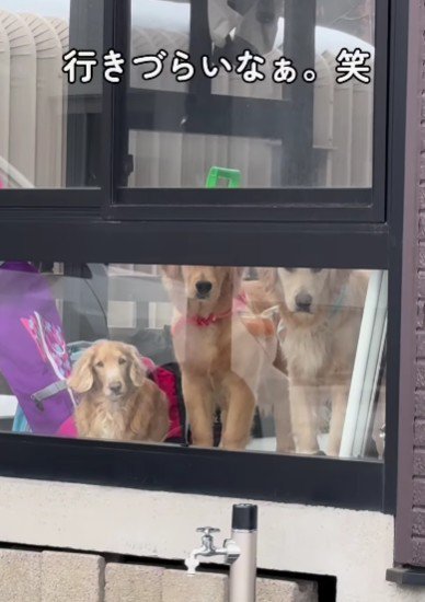 悪いことしてるみたい!?