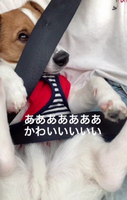 家族みんなメロメロに♡