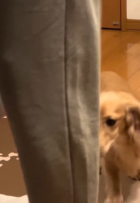 ケロッとして後をついてきます♪