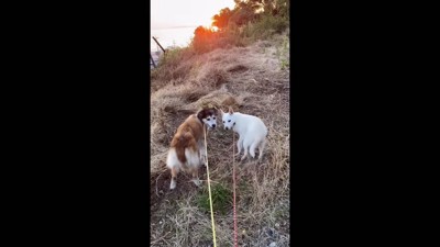 幸せの第一歩