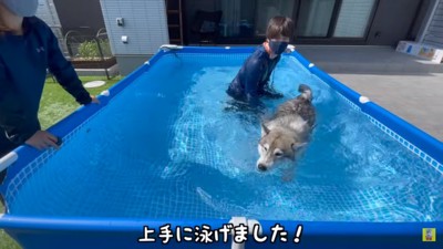 泳げたもんちゃん