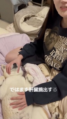 口元を抑えられる犬