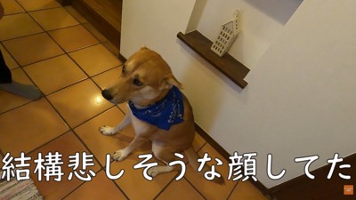 しょんぼり