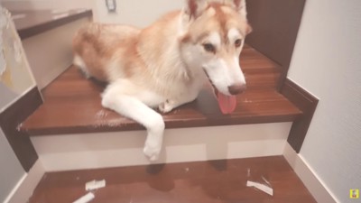 まだまだこれからだね♪