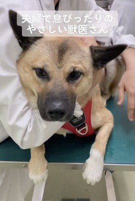 いつ打たれたのか分からないレベル