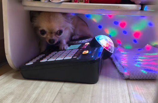 カラフルなミラーボール