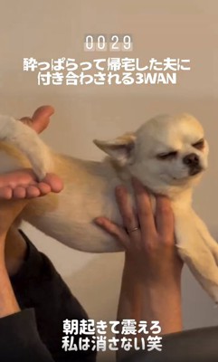 目をつぶるとうふくん