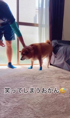 靴を履いたサブローくん7