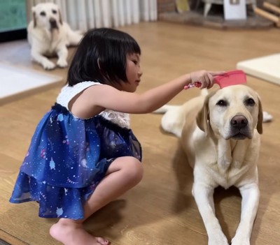 5歳になったゆうちゃん