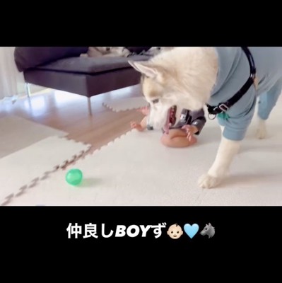 「拾ってあげよ」