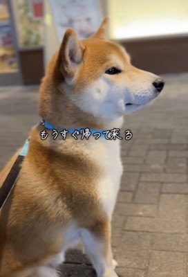 お迎えに来ました