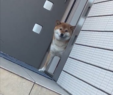 我慢