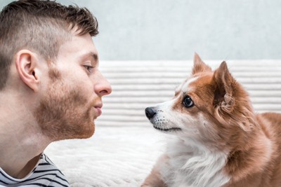 見つめ合う飼い主と犬