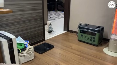 ナナくんとママさんのやり取り