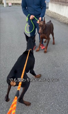 豹馬くんの変化4