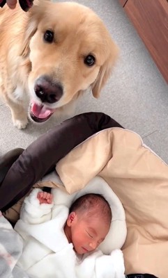 リリーちゃんと弟くんの初対面5