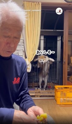 おいもが欲しい紅ちゃん