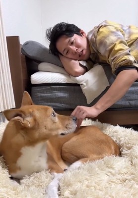 明智くんと飼い主さん