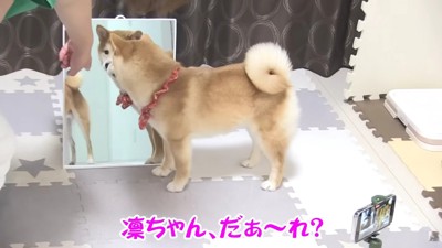 鏡を教えてみると…