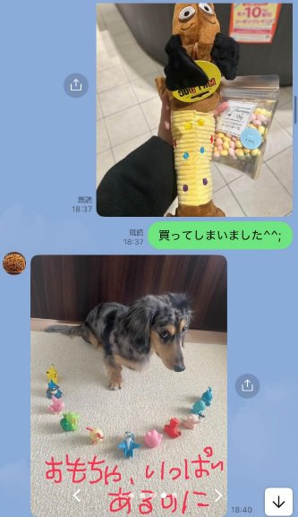 おもちゃとどびぃちゃん