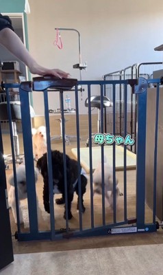 はるちゃん＆なつちゃんのお迎え6