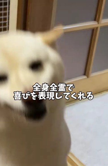 とっても嬉しそう