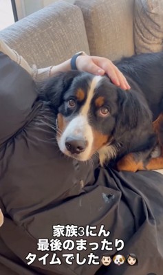 赤ちゃんに会えるのが楽しみ!