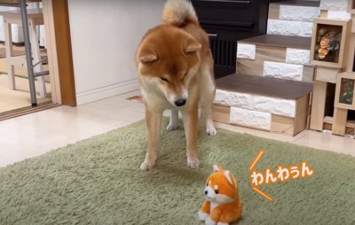 声マネするおもちゃ