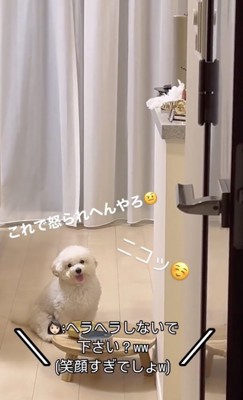 これでいけるやろ