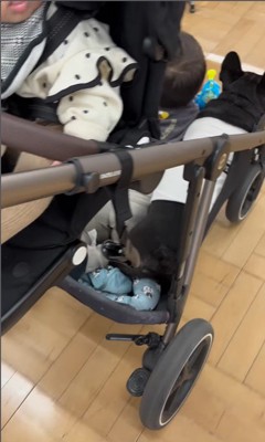 ベビーカーに乗るマウイくんと子どもたち2