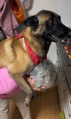 再び大型犬をおんぶ