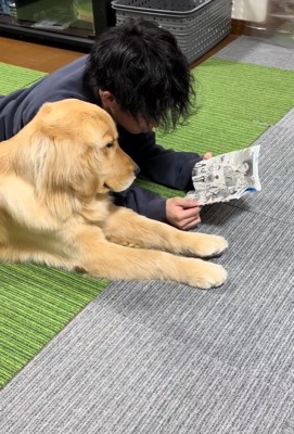 お兄ちゃんとべる君2