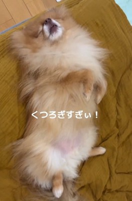 目をつぶるゆいるくん