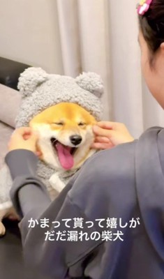 思わずあくびも