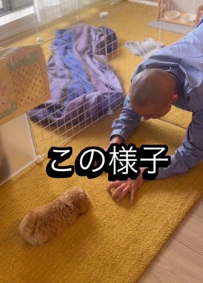 溺愛する姿にホッコリ